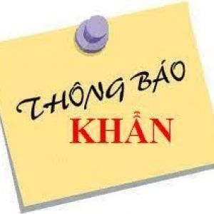 Thông báo khẩn